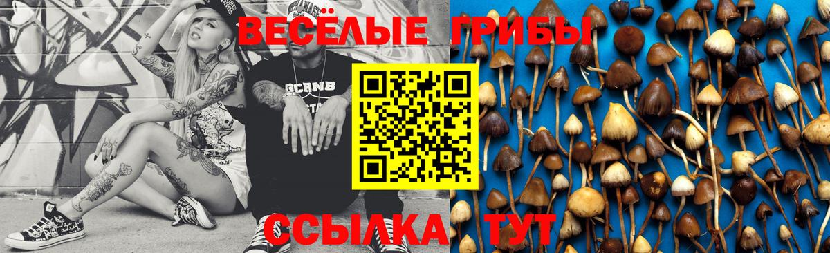 Калуга  Псилоцибиновые грибы Psilocybine cubensis  Вход с VPN 
